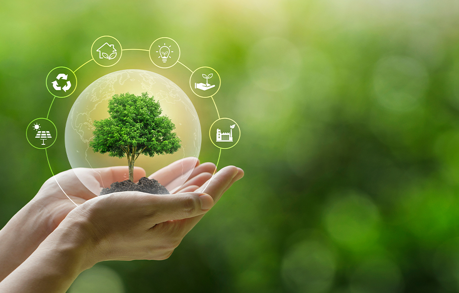 Event - Sustainability Seniors